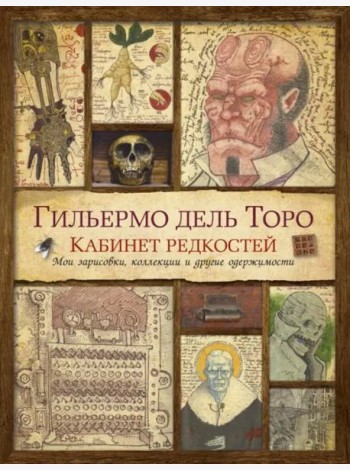 Кабинет редкостей. Мои зарисовки, коллекции и другие одержимости