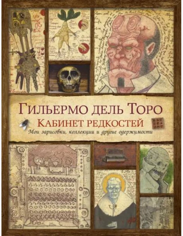 Кабинет редкостей. Мои зарисовки, коллекции и другие одержимости