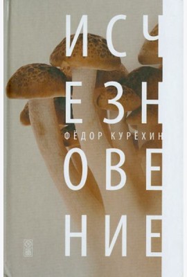 Исчезновение