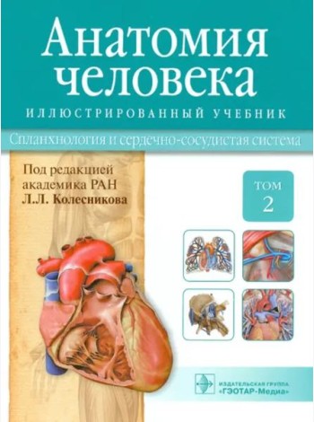 Анатомия человека. Учебник. В 3-х томах. Том 2. Спланхнология и сердечно-сосудистая система