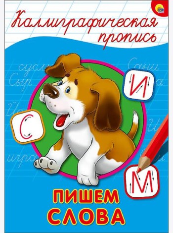 КАЛЛИГРАФИЧЕСКАЯ ПРОПИСЬ А4. ПИШЕМ СЛОВА