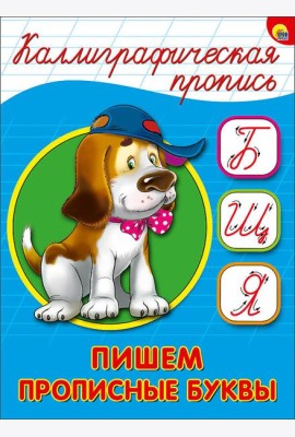 КАЛЛИГРАФИЧЕСКАЯ ПРОПИСЬ А5. ПИШЕМ ПРОПИСНЫЕ БУКВЫ