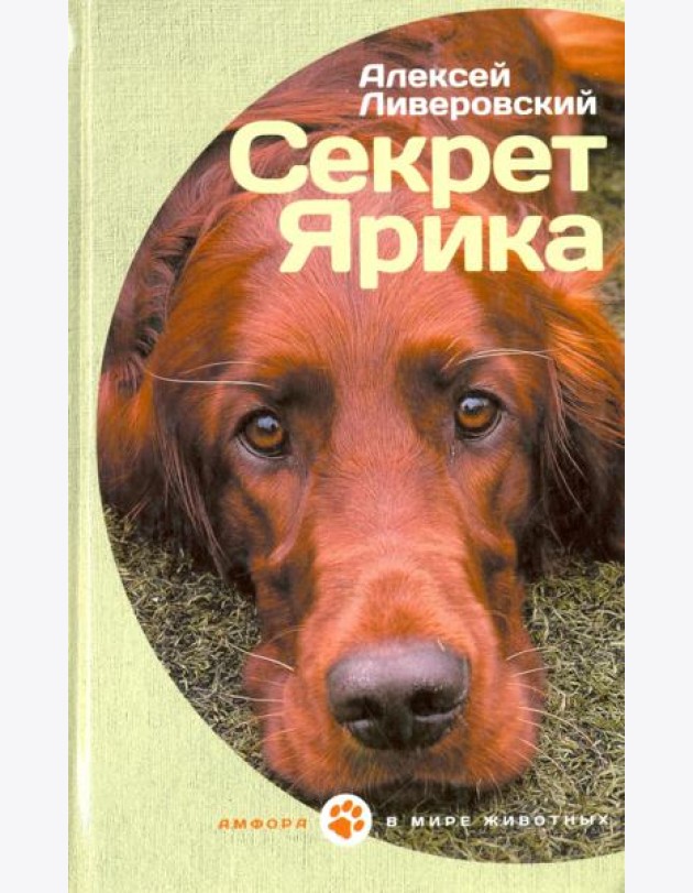 Секрет Ярика