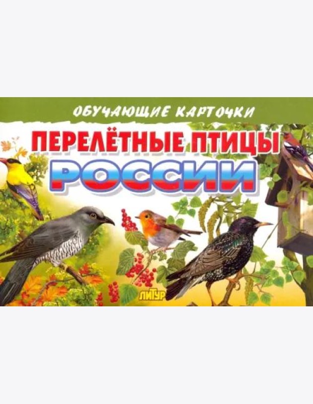 Перелетные птицы России