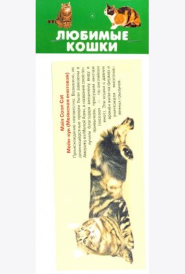 Любимые кошки. 25 карточек
