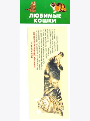 Любимые кошки. 25 карточек