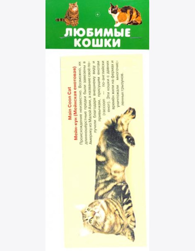 Любимые кошки. 25 карточек