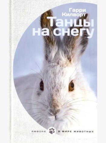 Танцы на снегу