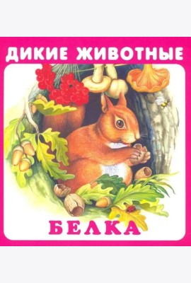 Набор карточек 