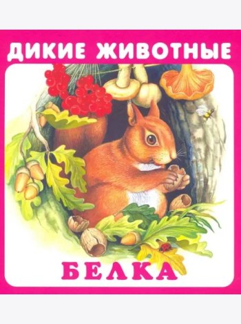 Набор карточек 