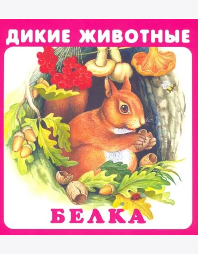 Набор карточек
