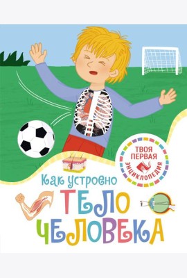 Как устроено тело человека