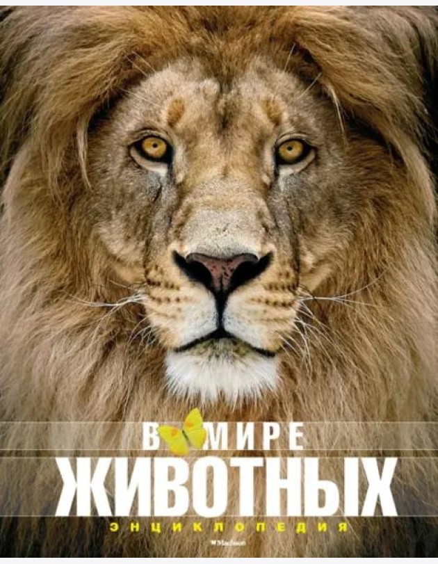 В мире животных