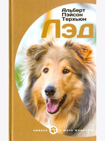 Лэд