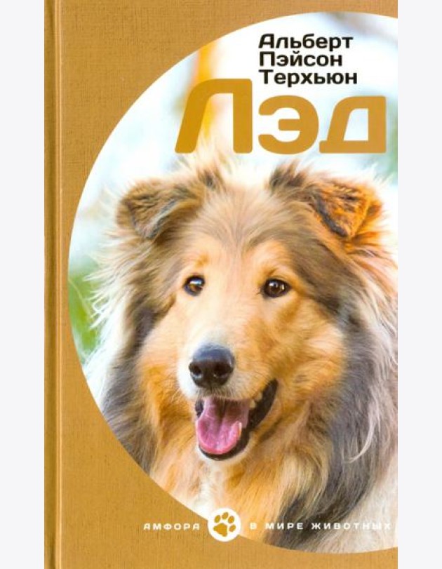 Лэд