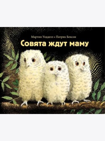 Совята ждут маму