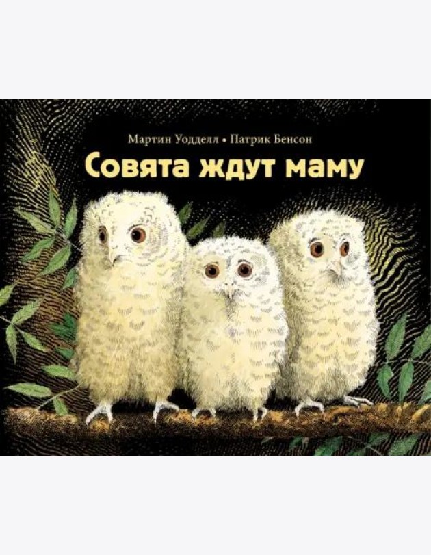 Совята ждут маму
