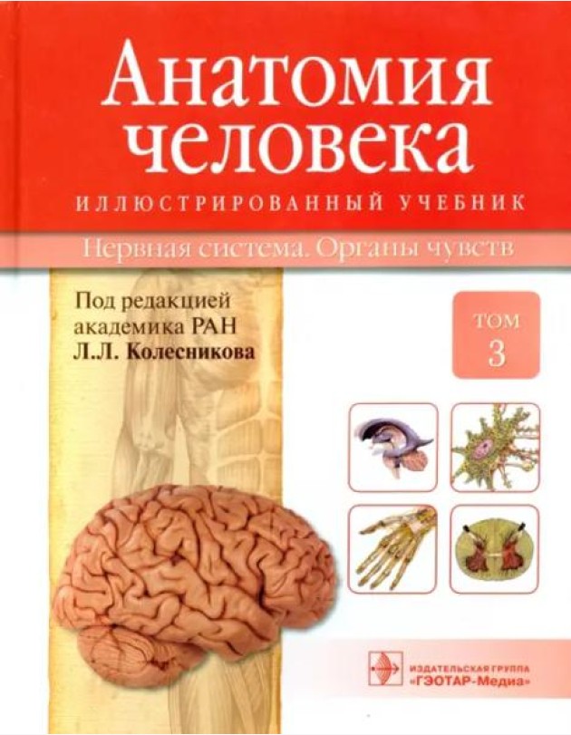 Анатомия человека. Учебник в 3-х томах. Том 3. Нервная система. Органы чувств