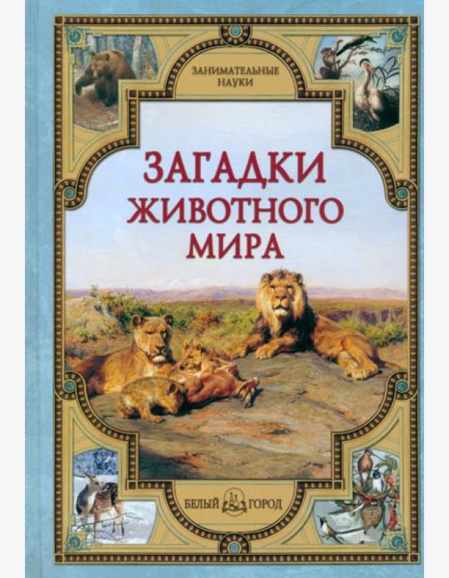 Загадки животного мира