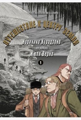Путешествие к центру земли. Том 1