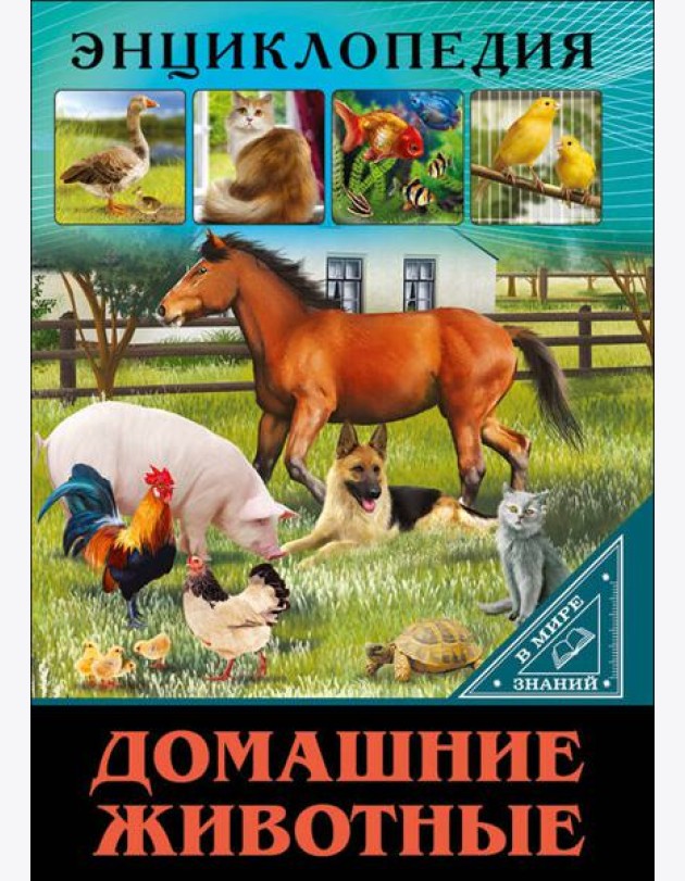 ЭНЦИКЛОПЕДИЯ. В МИРЕ ЗНАНИЙ. ДОМАШНИЕ ЖИВОТНЫЕ