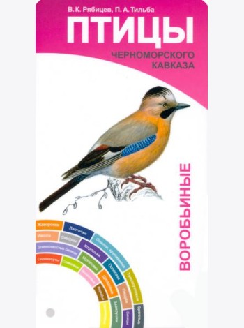 Птицы Черноморского Кавказа. Воробьиные и неворобьиные. Веер-определитель