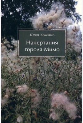 Начертания города Мимо