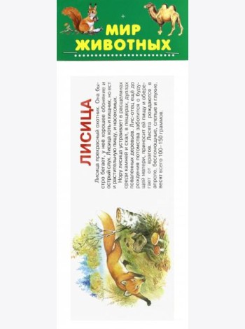 Набор карточек. Мир животных
