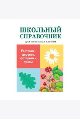 Растения: деревья, кустарники, травы
