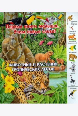 Животные и растения тропических лесов. Виммельбух