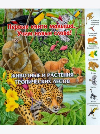 Животные и растения тропических лесов. Виммельбух