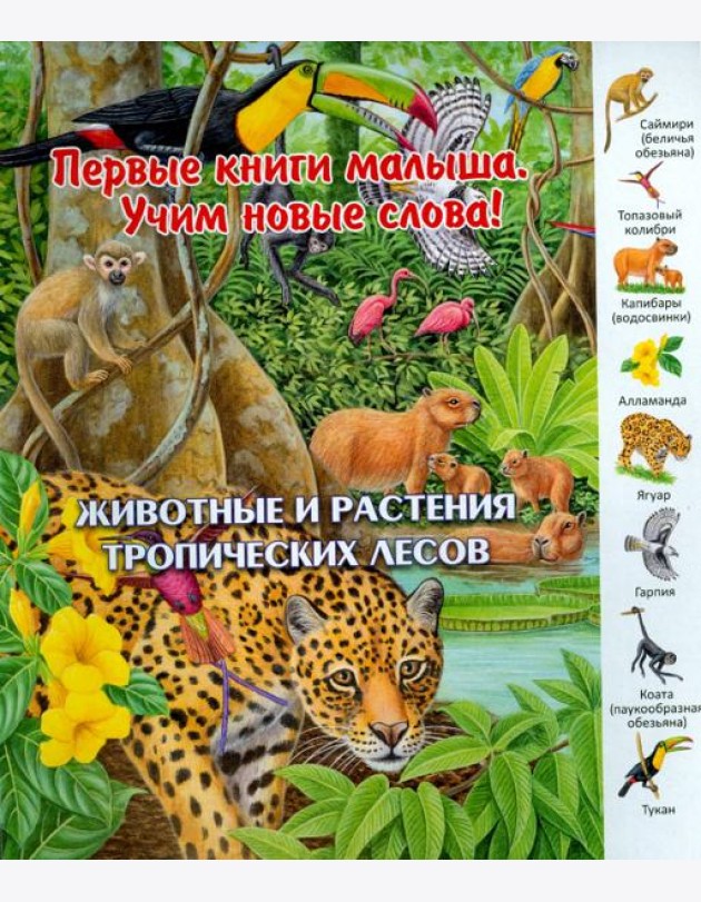 Животные и растения тропических лесов. Виммельбух