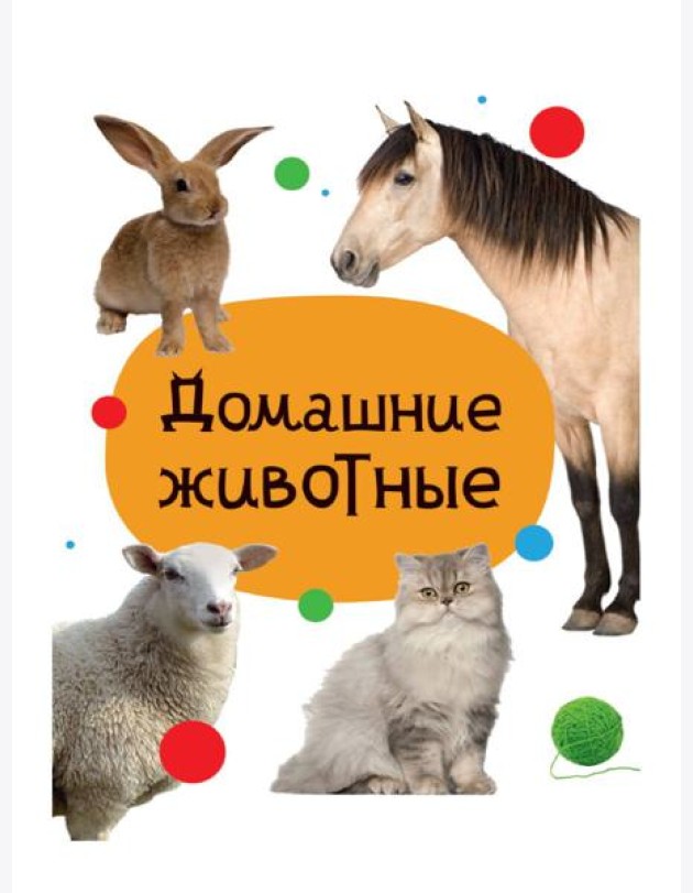 ЦК МИНИ. ДОМАШНИЕ ЖИВОТНЫЕ
