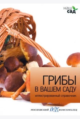 Грибы в вашем саду