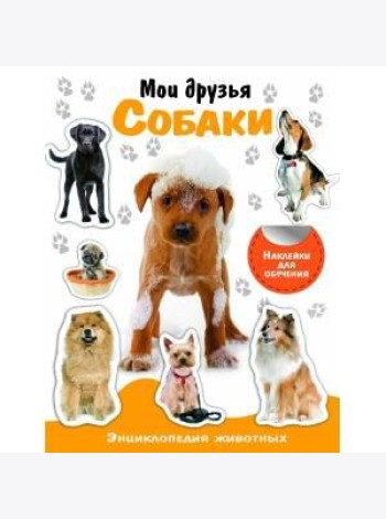 НАКЛЕЙКИ С ЗАДАНИЯМИ. Детеныши животных