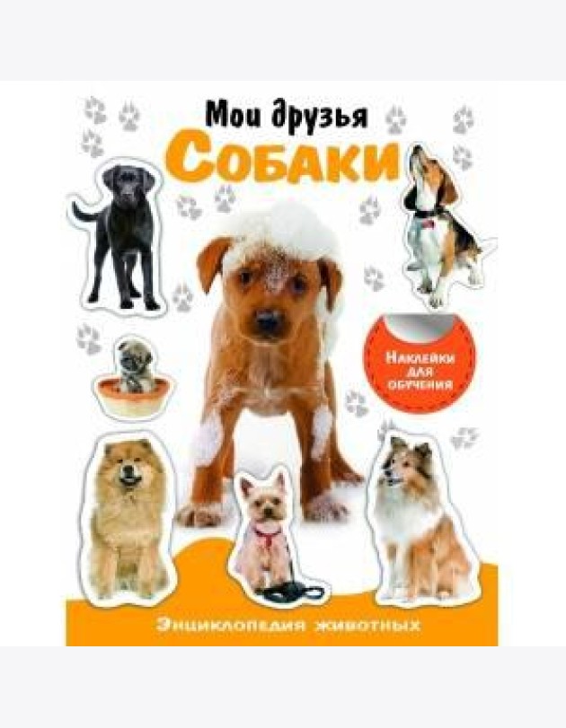 НАКЛЕЙКИ С ЗАДАНИЯМИ. Детеныши животных