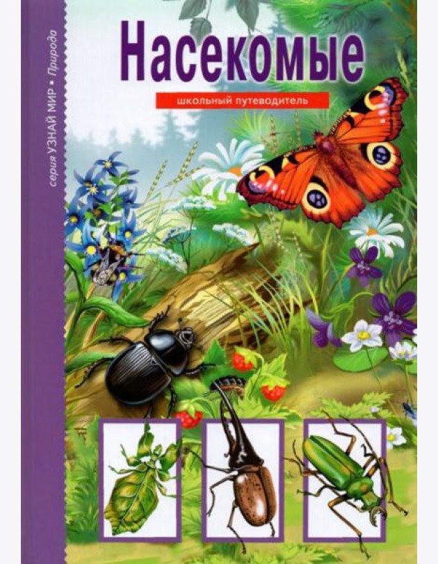 Насекомые