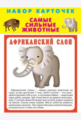 Набор карточек. Самые сильные животные