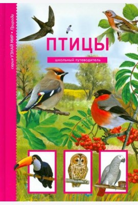 Птицы. Школьный путеводитель