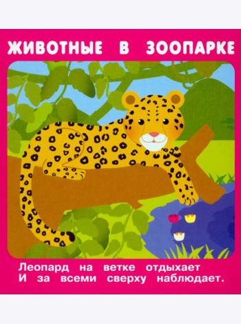 Набор карточек 