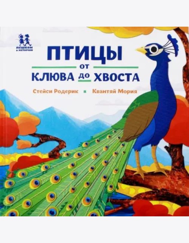 Птицы и букашки: от носа до хвоста
