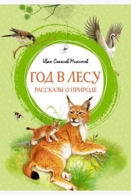 Год в лесу. Рассказы о природе