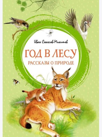Год в лесу. Рассказы о природе