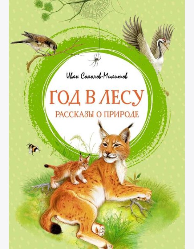 Год в лесу. Рассказы о природе