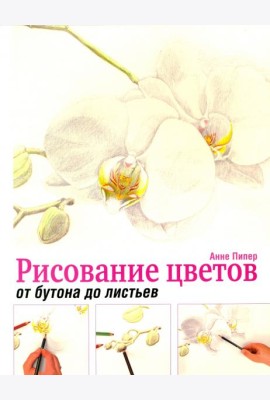 Рисование цветов от бутона до листьев