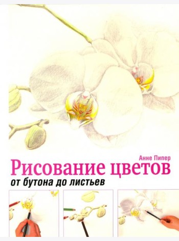 Рисование цветов от бутона до листьев