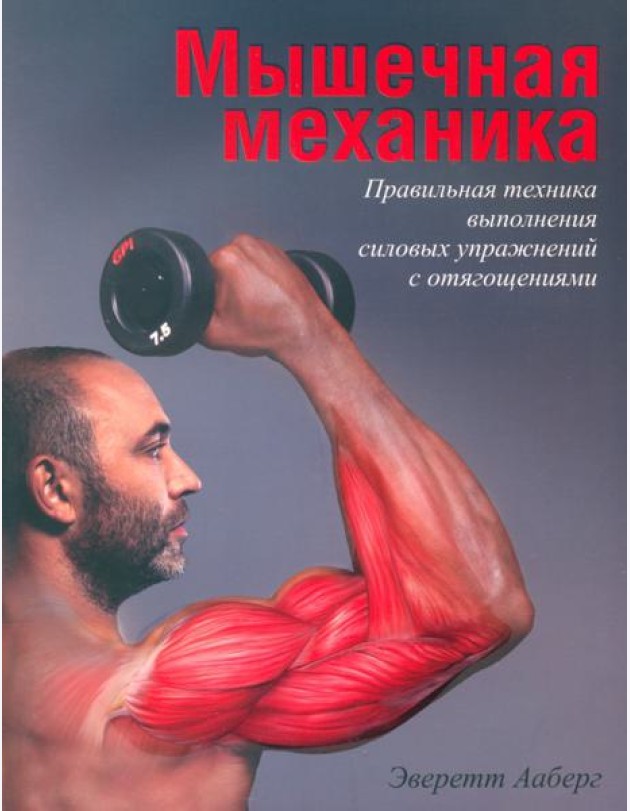 Мышечная механика