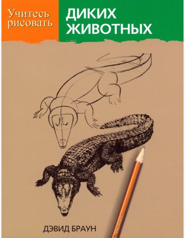 Учитесь рисовать диких животных