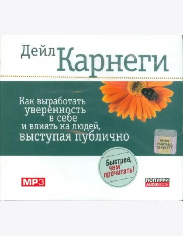 Как выработать уверенность в себе и влиять на людей, выступая публично (АУДИОКНИГА MP3)