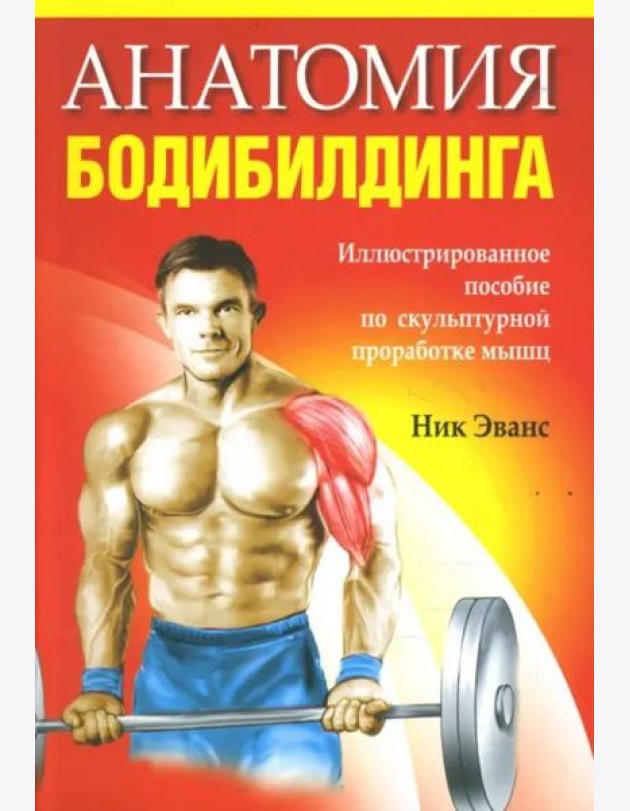 Анатомия бодибилдинга